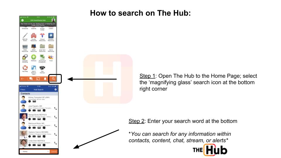 How_to_search_on_The_Hub.jpg
